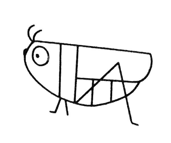 儿童学画蚱蜢简笔画步骤教程 蚱蜢/蚂蚱的简单画法