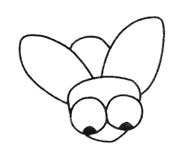 儿童学画苍蝇简笔画步骤教程 卡通苍蝇的简单画法