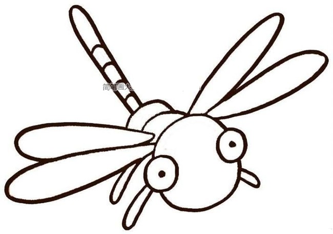 一组漂亮的蜻蜓卡通简笔画形象画法
