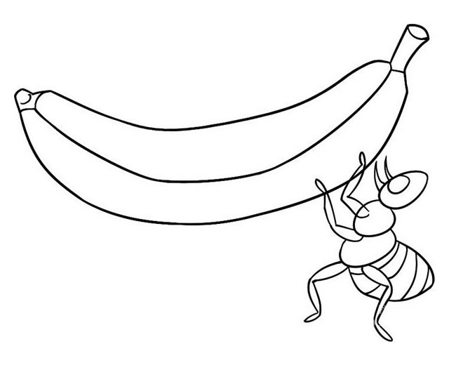 蚂蚁抬香蕉简笔画步骤图解