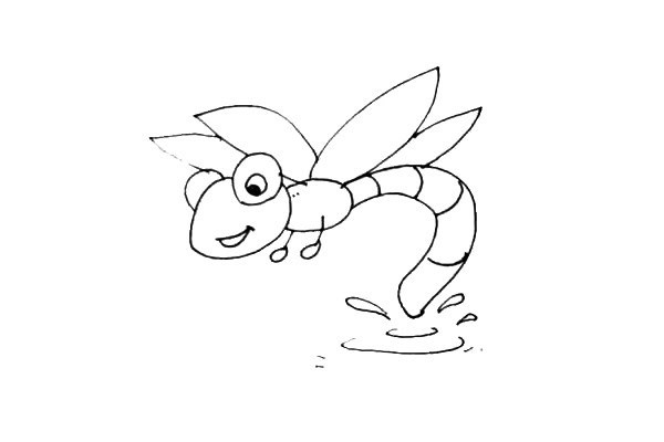 蜻蜓点水-蜻蜓简笔画步骤图文教程 彩色的 超简单画法
