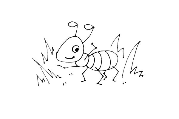学画卡通蚂蚁简笔画步骤图文教程