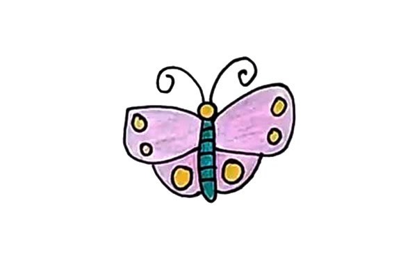 如何画蝴蝶 学画彩色的蝴蝶简笔画步骤图文教程