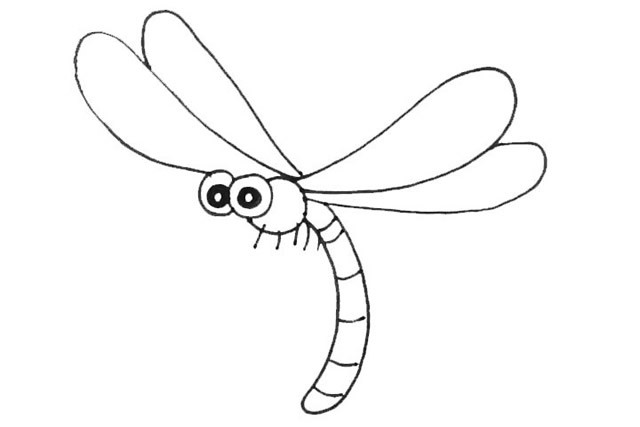简单七步画出漂亮的蜻蜓简笔画步骤图教程