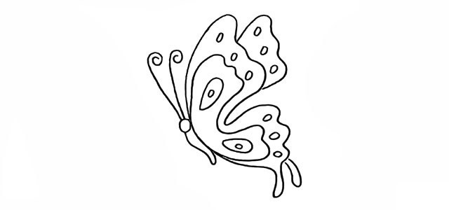 蝴蝶简笔画 漂亮的蝴蝶简笔画步骤图解教程