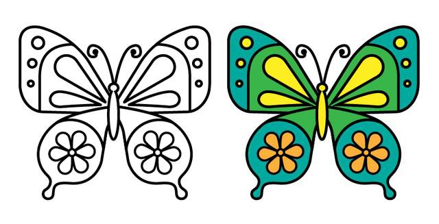 8种不同的美丽蝴蝶简笔画画法图片大全