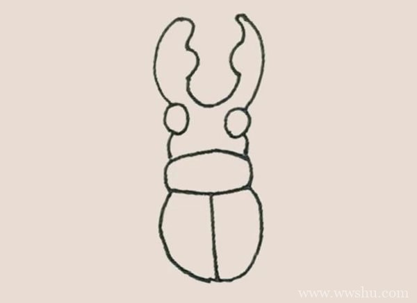 甲壳虫简笔画的画法步骤图教程