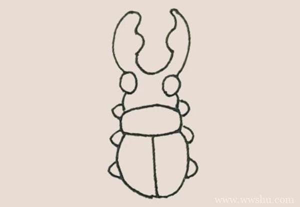 甲壳虫简笔画的画法步骤图教程