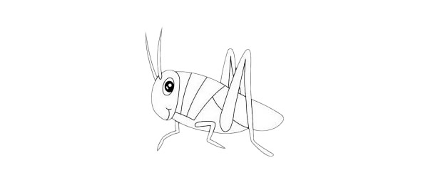 蝗虫简笔画简单画法步骤图解教程及图片大全