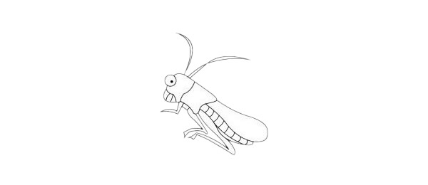 蝗虫简笔画简单画法步骤图解教程及图片大全