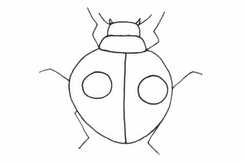 甲虫简笔画简单画法_甲虫简笔画步骤图解教程