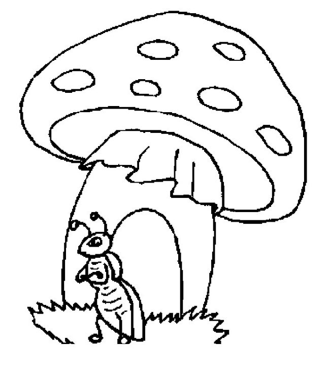 蚂蚁蘑菇房子简笔画七 蚂蚁蘑菇房子简笔画步骤图片大全