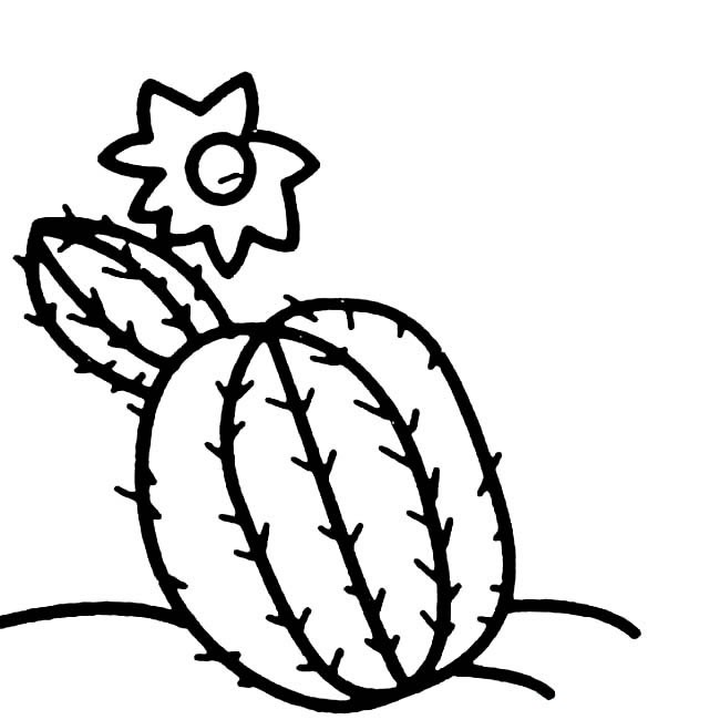 仙人球简笔画植物 仙人球植物简笔画步骤图片大全二