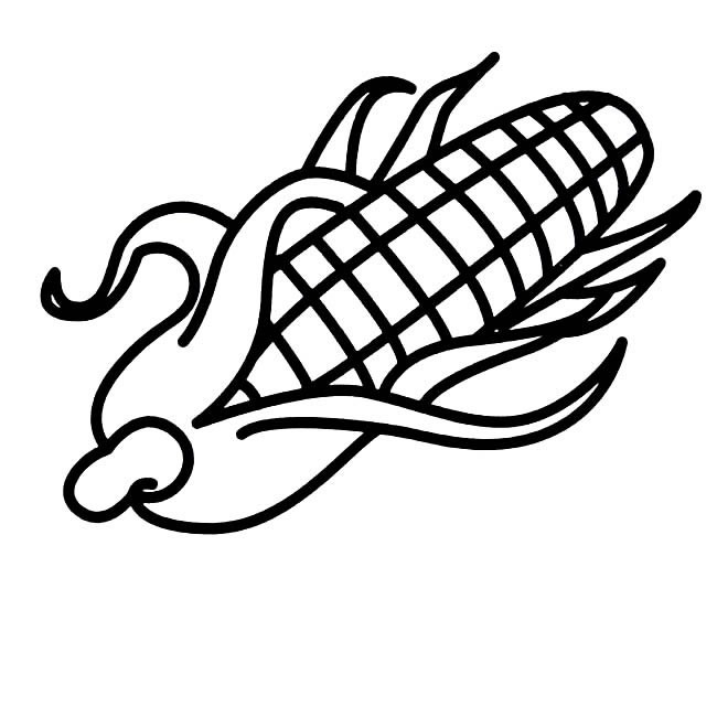 玉米简笔画粮食 玉米粮食简笔画步骤图片大全