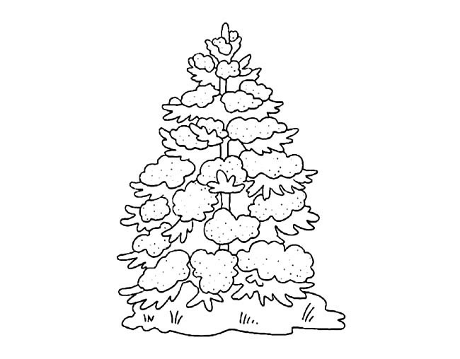 松树简笔画 圣诞节大雪压松树简笔画图片
