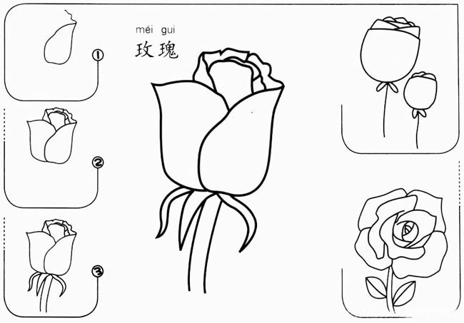 【玫瑰花如何画】简单的玫瑰花如何画简笔画步骤图