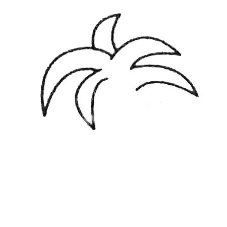 【椰子树简笔画】椰子树简笔画图片大全及画法步骤图解