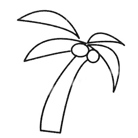 【椰子树简笔画】椰子树简笔画图片大全及画法步骤图解