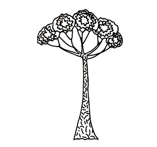 树木简笔画图片大全 侏罗纪时代树木的画法简笔画图片