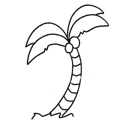 【椰子树简笔画】四部画出简单的椰子树简笔画步骤教程