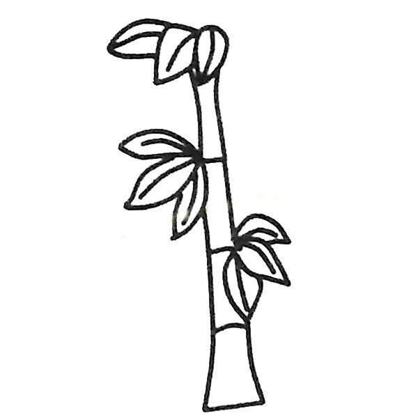 【竹子简笔画】6组漂亮的竹子简笔画图片