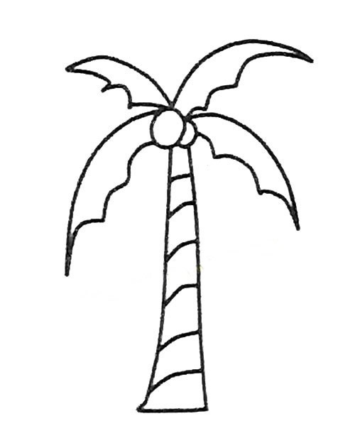 【椰子树简笔画图片】6款椰子树的画法简笔画