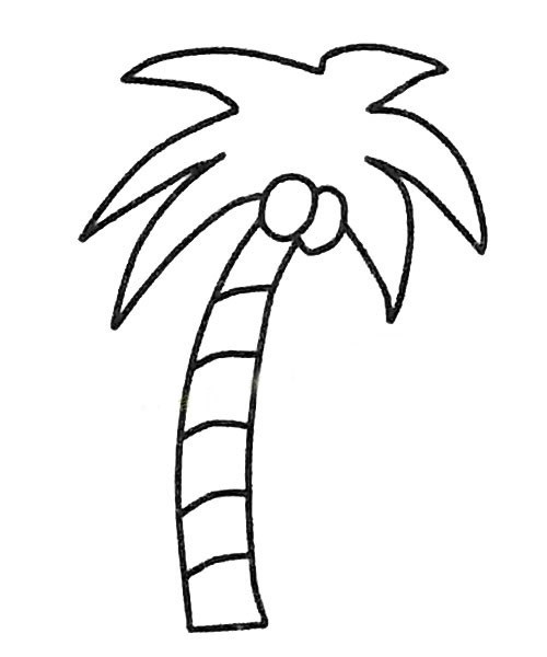 【椰子树简笔画图片】6款椰子树的画法简笔画