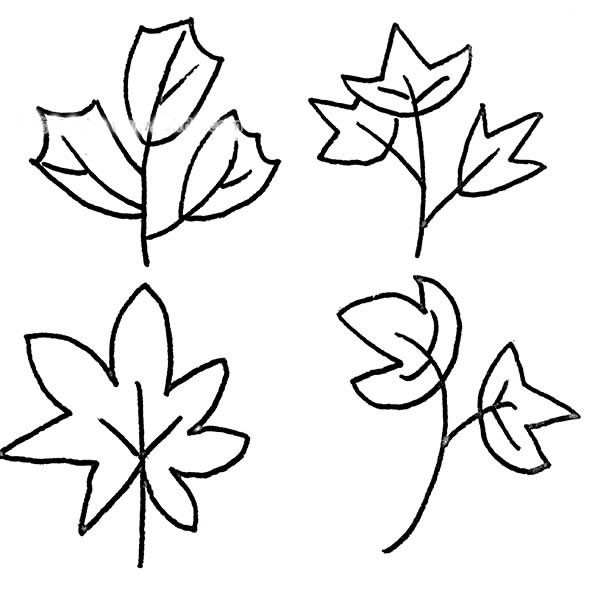 树叶简笔画图片大全 - 36种树叶的画法简笔画图片