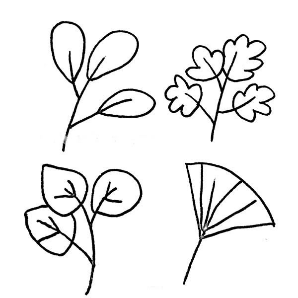 树叶简笔画图片大全 - 36种树叶的画法简笔画图片