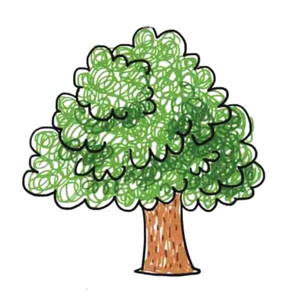 【大树简笔画图片带颜色】涂颜色的茂盛大树简笔画图片
