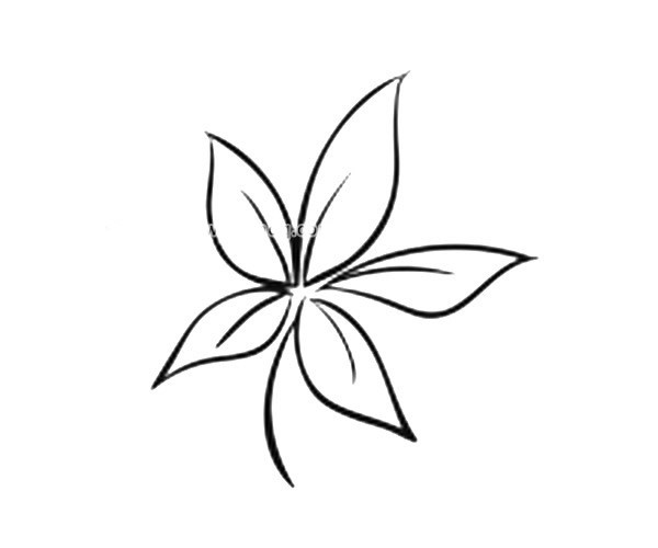 9款漂亮的叶子简笔画图片 叶子的简单画法大全
