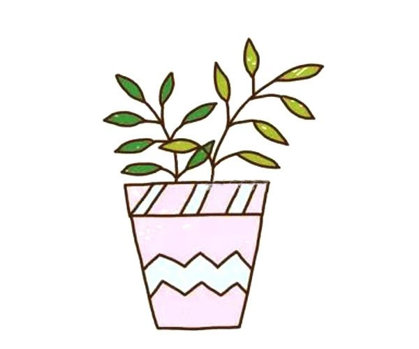 漂亮的盆栽简笔画步骤教程 盆栽的简单画法