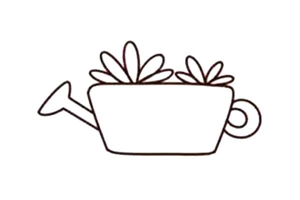 【多肉植物简笔画】洒水桶多肉植物简笔画画法步骤教程