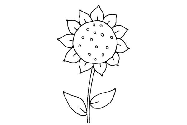 向日葵的画法步骤教程 向日葵简笔画简单又漂亮