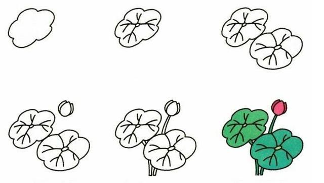 19种植物简笔画小教程，宝妈妈们的亲子活动素材