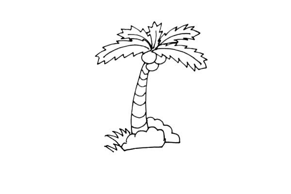 椰子树如何画 学画椰子树简笔画步骤图文教程