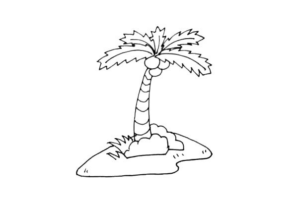 椰子树如何画 学画椰子树简笔画步骤图文教程