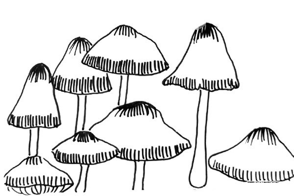 一组黑白线描蘑菇的画法简笔画