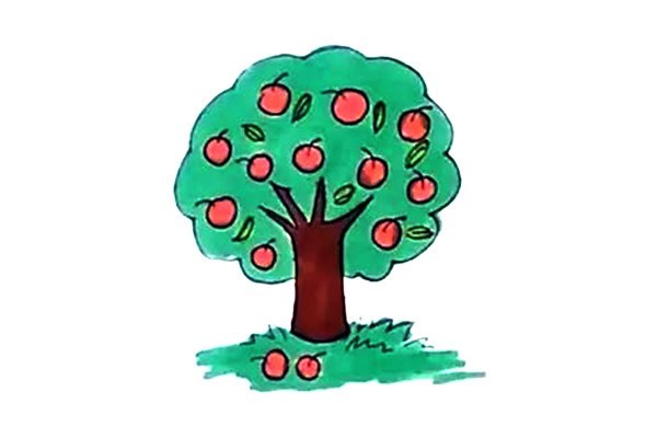 苹果树如何画 学画彩色的苹果树简笔画步骤图文教程