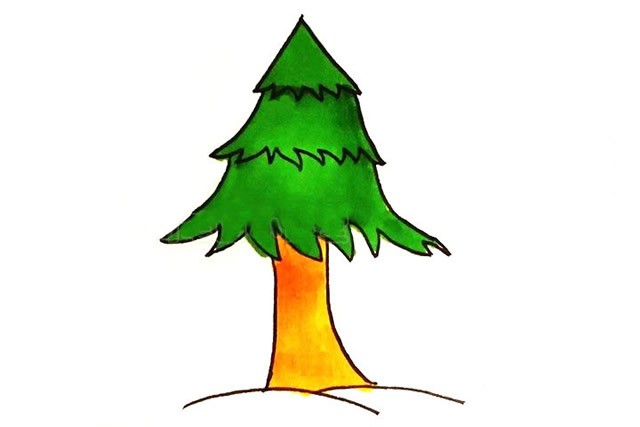 松树简笔画 简单的松树画法步骤图解教程