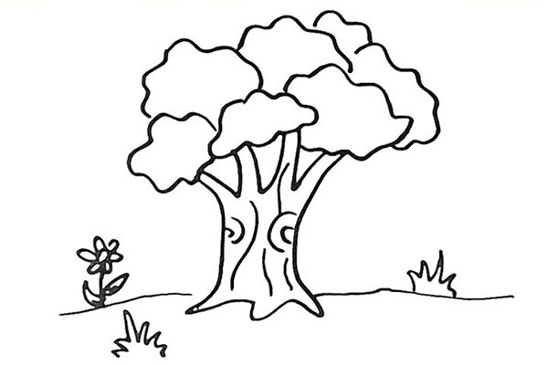 一步步教你画大榕树简笔画画法步骤图解教程