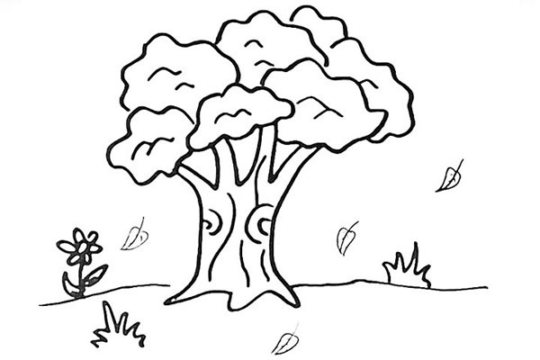 一步步教你画大榕树简笔画画法步骤图解教程