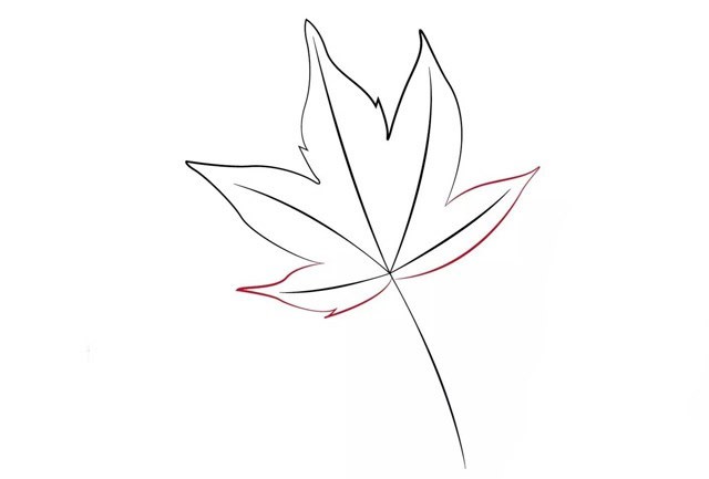 枫叶的画法 漂亮的秋天枫叶简笔画教程步骤图片大全