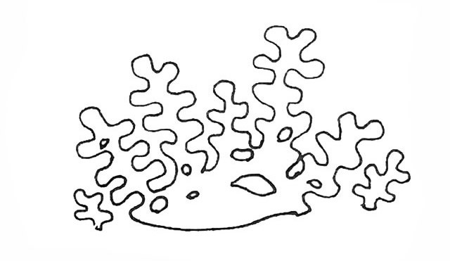 珊瑚如何画 珊瑚简笔画的画法步骤图教程