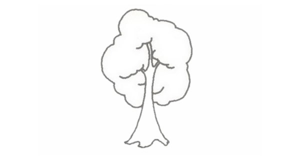 小树简笔画的画法步骤图教程