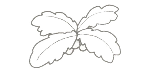椰子树简笔画的画法步骤图教程