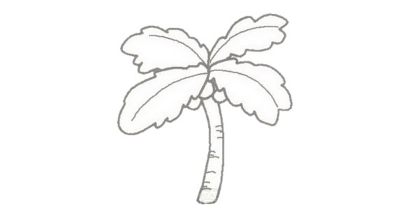 椰子树简笔画的画法步骤图教程
