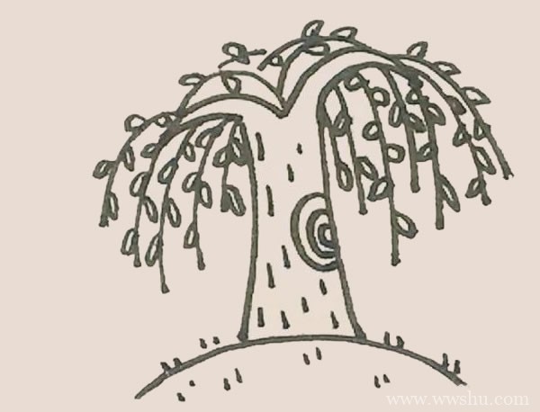 柳树简笔画的画法步骤图解教程