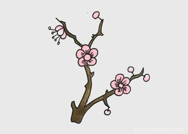树枝上的梅花简笔画画法步骤图片