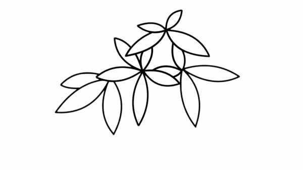 发财树盆栽简笔画步骤图解教程_发财树手绘图画简单